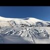 lanatannoury